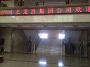 䰲FƸˆT
